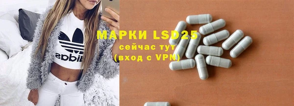 спайс Инта