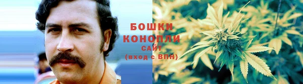 спайс Инта