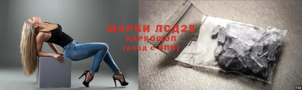 ПСИЛОЦИБИНОВЫЕ ГРИБЫ Иннополис