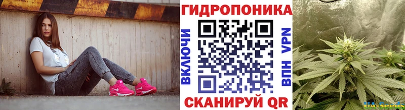 Марихуана OG Kush  Купить  Махачкала 